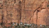 Beehives - Nut Smasher 5.12c - Zion National Park, Utah, USA. Click to Enlarge