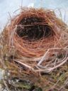 Is Life a Cozy Nest or is Life Full of Dagers? - Click for details