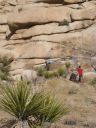 Joshua Tree - A bouldering walkabout w/video - Click for details