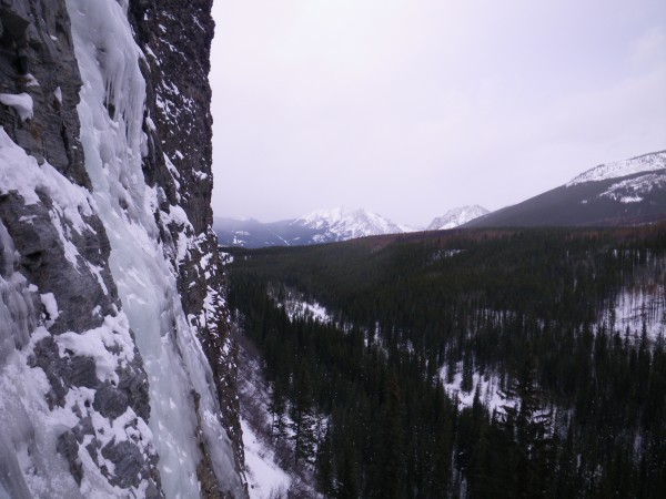 View down Evan-Thomas Creek drainage from Moonlight