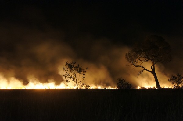 wheatfields on fire on the way out