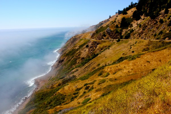 Scenic Sonoma coast