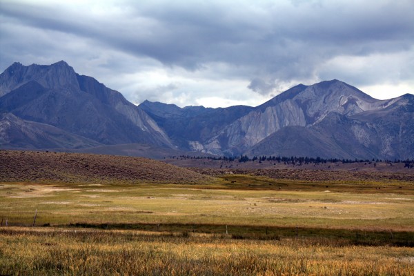 Meadow to mountain.....