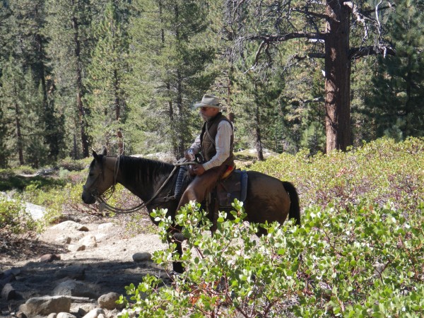 said he was looking to round up stray cattle