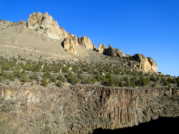 Marsupials and Lower Gorge