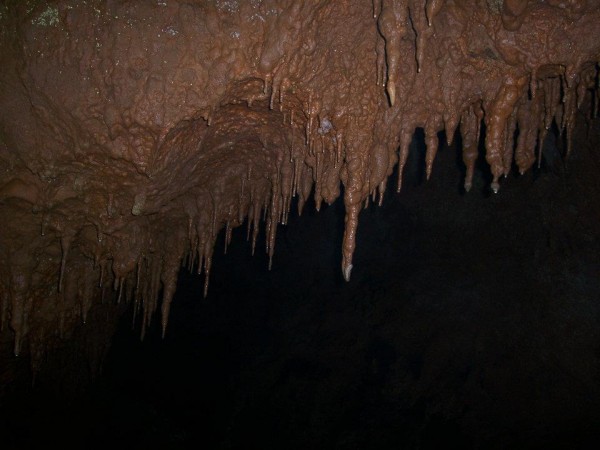 Baby stalactites forming