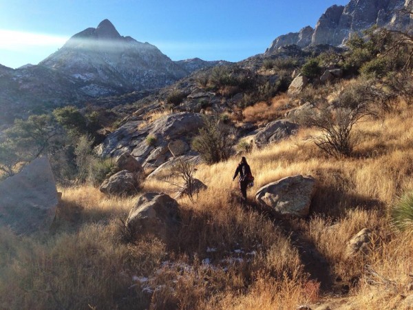 perfect light along the hike in