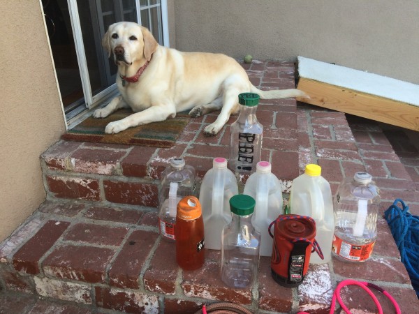 Prepping fer the mighty Moonlight, note the designated PEE bottle unde...