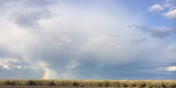 Second rainbow sighting