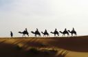 Morocco Girls Trip: Carpets, Camels and Crimping - Click for details