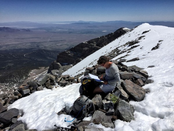 The top of Wheeler Peak in Great Basin National Park