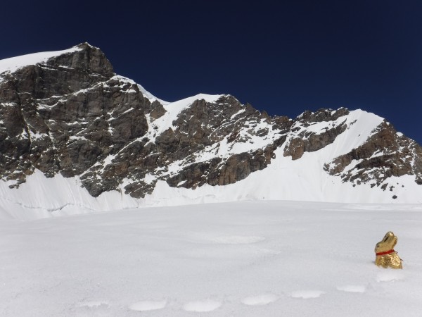 Our trusty guide gazes upon the Jungfrau