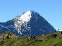 Eiger 3970m - via Mittellegi! - Click for details