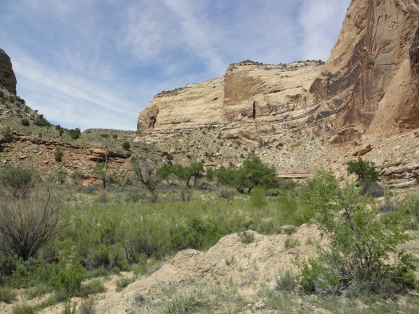 A side canyon begging to be explored.