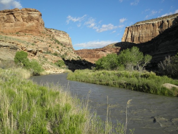 A short paddle takes us to the next side canyon.