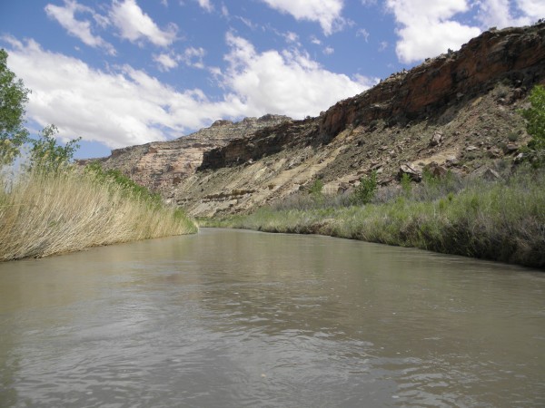 The San Rafael River was flowing about 20% higher on the second day.