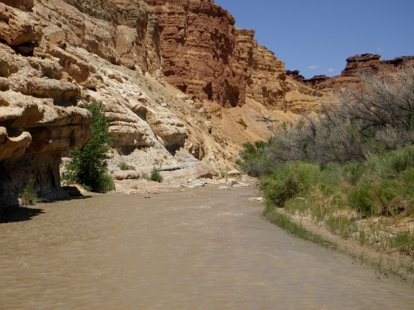 Approaching one of the many rock gardens