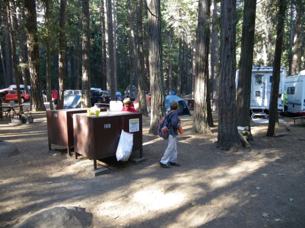 Our campsite at Upper Pines on the morning of the Big Day.