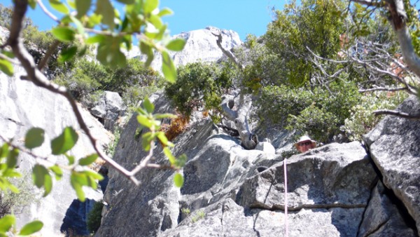 Enjoying a nice ledge at the top of the 2nd pitch.  Photo by Dave.