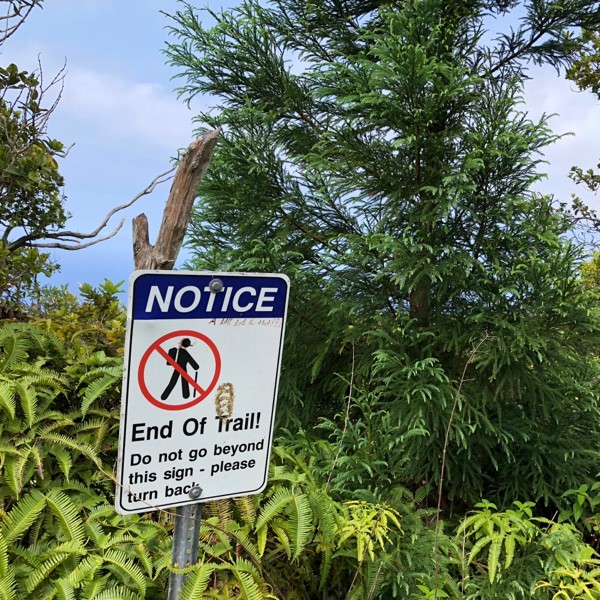 part four: new routing at the headwaters of the kohala ditch