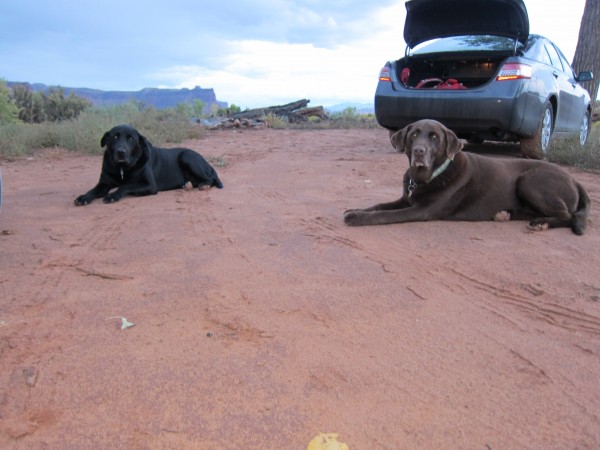 Max, Sage, and the Camry at the Creek