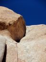 Return to Joshua Tree - Click for details