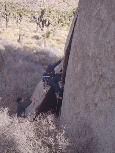 Seth starts up his first J-Tree climb.