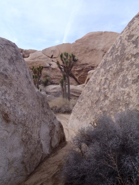 Wandering washes, Joshua Tree, Ca.