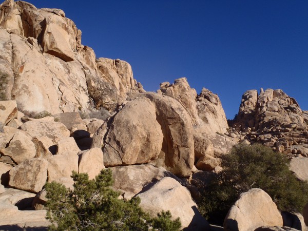 The Freeway Wall, Lost Horse, Joshua Tree.