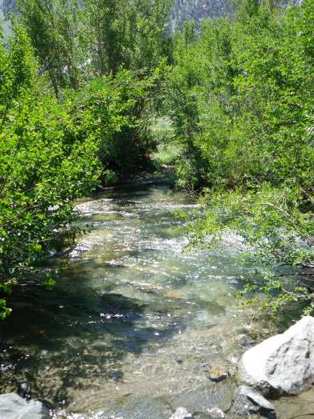 creek crossing on the South Fork