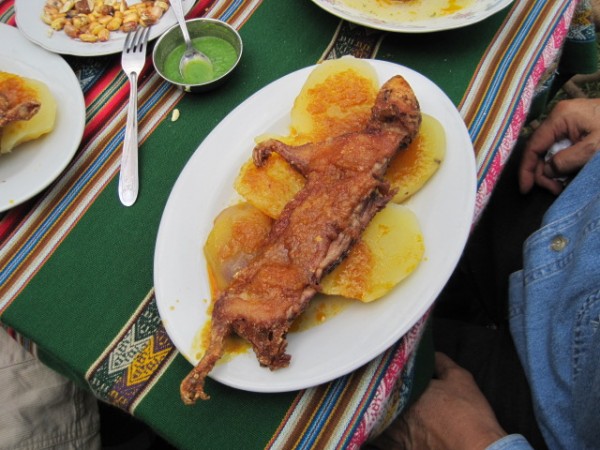 Cuy picante as served in Carhuaz, Peru.