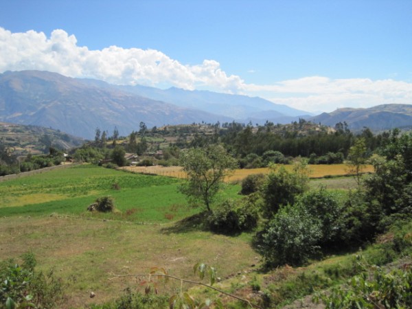 The Cordillera Negra, as seen from Cashapampa.