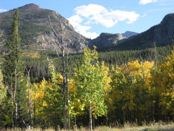 Fall colors in RMNP.